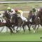 【競馬/2歳新馬】サートゥルナーリアはエピファ、リオンほどの化物ではなさそうな件