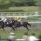 【競馬】近年、宝塚記念に頭数が揃わない理由