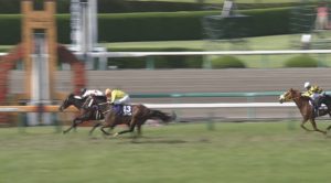 【競馬/宝塚記念】ワーダーwwwwwww 【競馬/宝塚記念】ワーダーwwwwwww