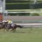 【競馬/宝塚記念】ワーダーwwwwwww