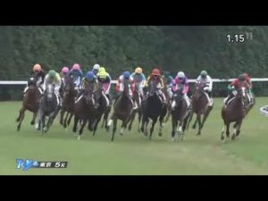 【競馬】ブラックタイド兄貴少し牝馬の質が良くなったら2歳リーディング3位につける