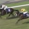 【競馬/宝塚記念】ミッキーロケット和田しゃんｷﾀ━━━━(ﾟ∀ﾟ)━━━━!!