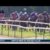 【海外競馬】歴史的快挙！伝統のフランスダービーはディープ産駒のスタディオブマンが優勝！