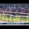 【海外競馬】歴史的快挙！伝統のフランスダービーはディープ産駒のスタディオブマンが優勝！
