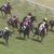 【競馬/安田記念】サトノアレスの直線の手応えに期待したやつｗｗｗｗｗ