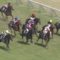 【競馬】スワーヴ陣営は大いに反省すべし