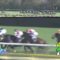 【競馬】オルフェーヴルの皐月賞