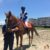 【競馬】藤田菜七子さん遂に地上波ゴールデン番組デビュー！！体育会TV出演！！！！