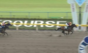 【競馬】ルヴァンスレーヴ負傷、左前球節部に炎症 今後の予定は白紙に