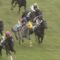 【競馬】エプソムC見せ場ゼロのダイワキャグニーとはなんだったのか