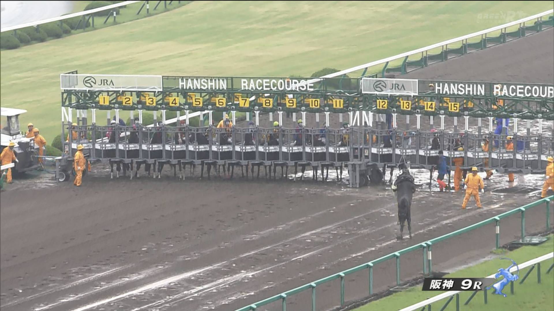 【競馬】[画像] 阪神10Rタスクフォース逃亡wwwww