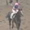 【競馬】3週連続の勝利なるか！？菜七子は小倉で全１０鞍に騎乗！