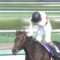 【競馬】ミッキーチャーム＞＞アーモンドアイ