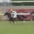 【競馬/ホープフルS】デムーロ「サートゥルナーリアの前走は50％」