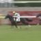 【競馬】角居勝彦調教師、調教停止に。今週出走の6頭は中竹厩舎に転厩