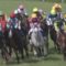 【競馬/ジャパンC】サトノダイヤモンドの池江調教師「モレイラが調教に乗っただけで馬の勝率がかなり高くなる」