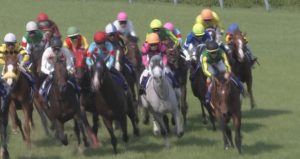 【競馬/京都記念】ノーブルマーズ 32戦全て高倉騎乗 【競馬/京都記念】ノーブルマーズ 32戦全て高倉騎乗
