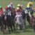 【競馬/京都記念】ノーブルマーズ 32戦全て高倉騎乗