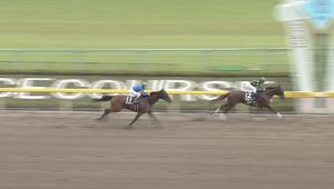 【競馬】シヴァージ強すぎワロタ 【競馬】シヴァージ強すぎワロタ