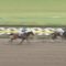 【競馬】東京10R シヴァージ 単２倍もつくｗｗｗ３００万勝負だ！！！