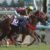 【競馬】根岸Sでダート初挑戦のモズアスコットは好走すると思う? 【競馬】根岸Sでダート初挑戦のモズアスコットは好走すると思う?