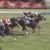 【競馬/安田記念】矢作「モズアスコットの前走は坂井が下手だった」 助手「安田記念を勝てたのはルメールの力」 【競馬/安田記念】矢作「モズアスコットの前走は坂井が下手だった」 助手「安田記念を勝てたのはルメールの力」