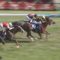 【競馬】終わってみたらスワーヴリチャード複勝160円ってめっちゃ美味いよな