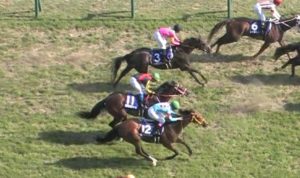 【競馬板】先輩上司の本命がリアルスティールだった…見限っていいかあいつ…？