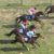 【競馬/安田記念】リアルスティール１５着ｗｗｗｗｗｗｗｗｗｗｗｗｗｗ