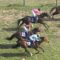 【競馬/安田記念】リアルスティール１５着ｗｗｗｗｗｗｗｗｗｗｗｗｗｗ