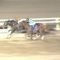 【競馬】大井競馬をJRAに編入して帝王賞、JDDはGIに昇格させよう