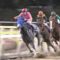 【競馬】テイエムジンソクは武豊や岩田に乗り替わったらスマートファルコンみたいに再覚醒するかな?