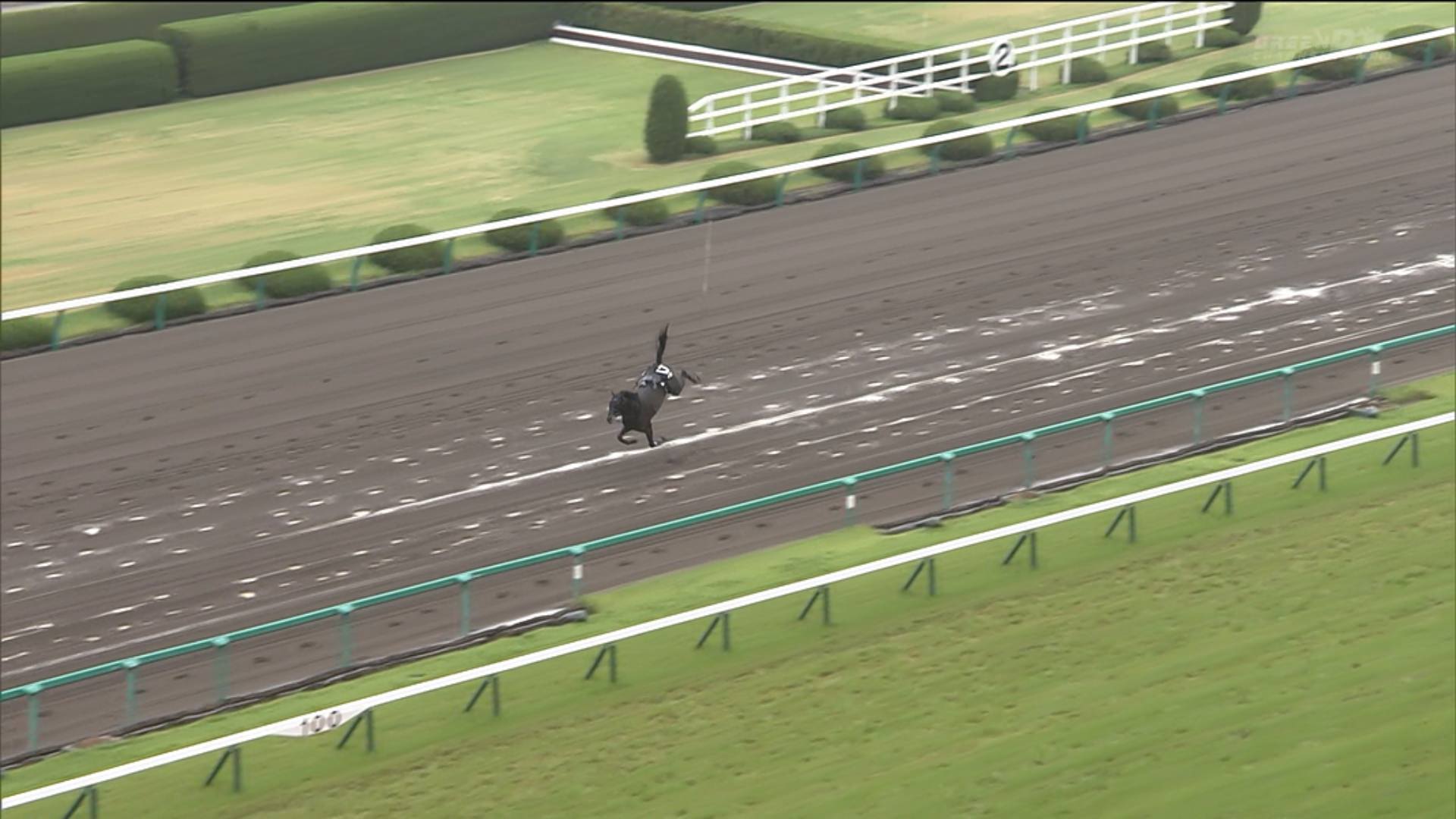 【競馬】[画像] 阪神10Rタスクフォース逃亡wwwww