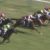 【競馬/安田記念】アエロリット　また落鉄していた