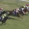 【競馬/安田記念】アエロリット　また落鉄していた