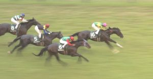 【競馬/富士S】ハクサンルドルフ単勝40倍w