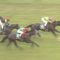 【競馬/富士S】ハクサンルドルフ単勝40倍w