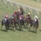 【競馬/安田記念】川田ペルシアンナイト何度も詰まる糞騎乗！！！
