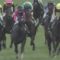 【競馬】田辺「内田や蛯名はめちゃくちゃモチベーションが高い」