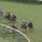 【競馬/福島テレビOP】北村宏、テオドールで大バカ逃げwww