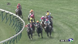 【競馬/2歳新馬】ジゴロ強すぎワロタ(パドトロワ産駒)→連闘で登録の函館2歳Sは回避