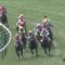 【競馬/2歳新馬】ジゴロ強すぎワロタ(パドトロワ産駒)→連闘で登録の函館2歳Sは回避