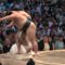 【競馬】[画像] 細江純子に似た女が大相撲中継で湊親方の後ろにいる