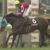 【競馬】オジュウチョウサン、来年の天皇賞・春挑戦も視野、オーナーは「武豊で」