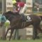 【競馬】オジュウチョウサン、左トモ違和感　２２日の九十九里特別回避