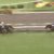 【競馬】オジュウチョウサンの単勝が1.8倍www 【競馬】オジュウチョウサンの単勝が1.8倍www