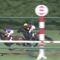 【競馬/中京2歳S】アドマイヤマーズ強すぎワロタ