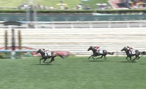 【競馬】吉田氏「来年のダービー馬はクラージュゲリエ」と断言