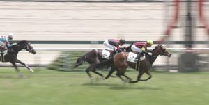 【競馬/2歳新馬】ハーツ後継ジャスタウェイ滑り出し好調。ディープ後継・・・・ 【競馬/2歳新馬】ハーツ後継ジャスタウェイ滑り出し好調。ディープ後継・・・・