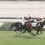 【競馬/2歳新馬】ハーツ後継ジャスタウェイ滑り出し好調。ディープ後継・・・・